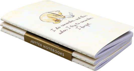 3pcs Pooh Mini Notebooks