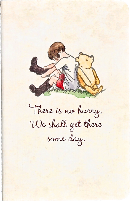 3pcs Pooh Mini Notebooks