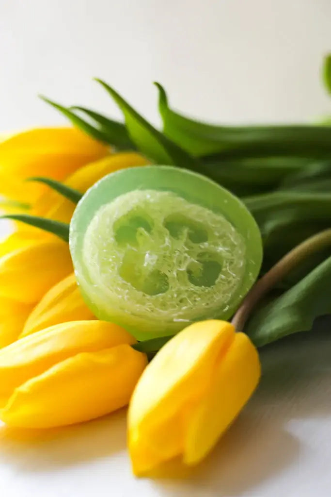Lend Me Some Sugar Bath Company - Eucalyptus Yuzu Loofah Soap