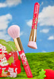 Strawberry Shortcake 2-Piece Pink Makeup Brush Set