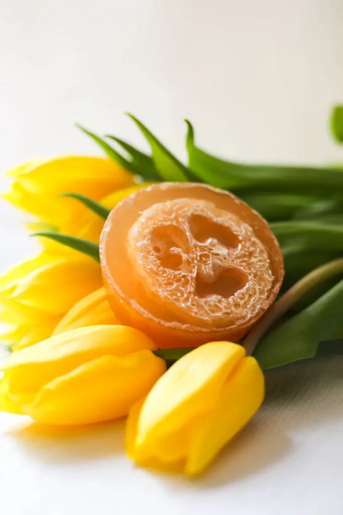 Lend Me Some Sugar Bath Company - Orange Lemon Creamsicle Loofah Soap