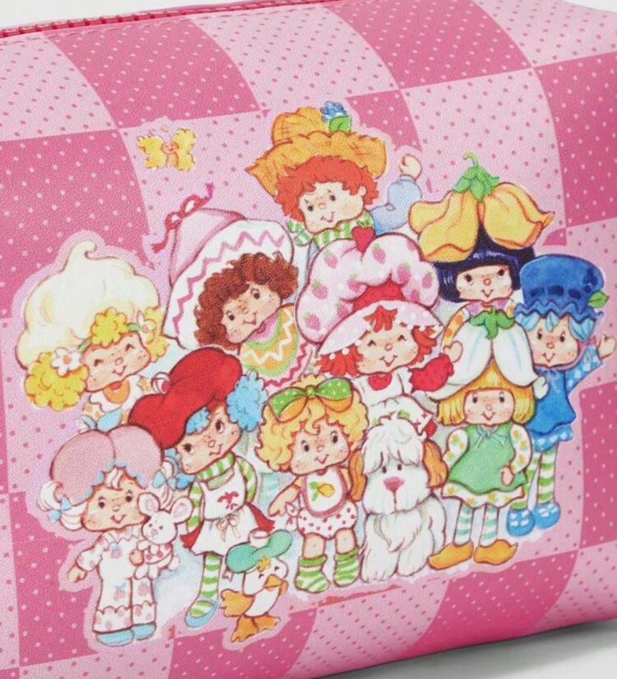 Strawberry Shortcake & Friends Pink Plaid Makeup Bag