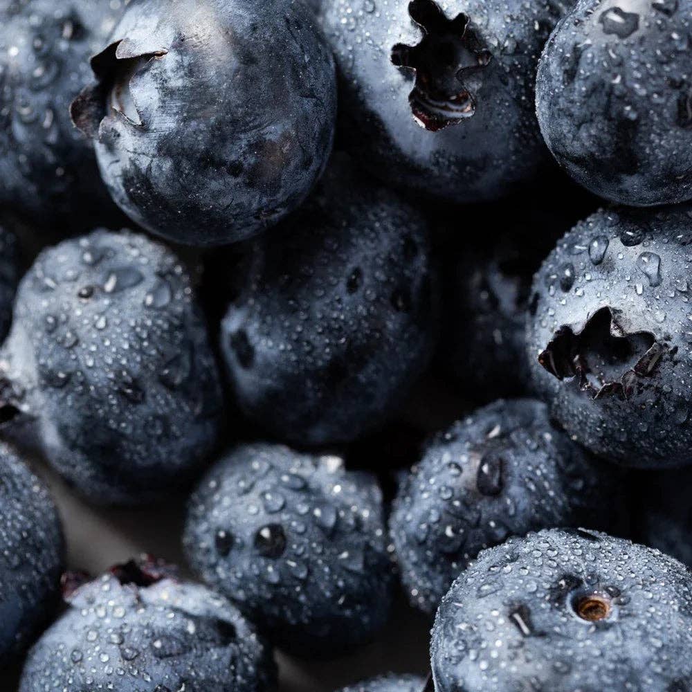 Honeybalm SPF Lip Balm 5 flavours to choose from)