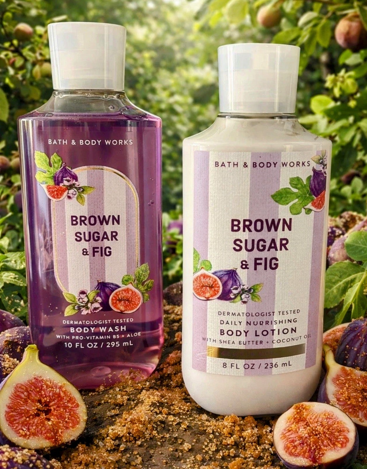 Brown Sugar & Fig Body Lotion